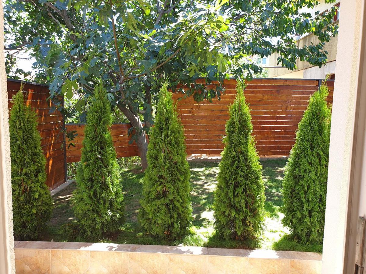 Villa Kuca Ema Belgrado Esterno foto